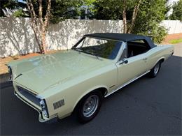 1966 Pontiac LeMans (CC-2092493) for sale in Milford City, Connecticut