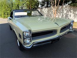 1966 Pontiac LeMans (CC-2092493) for sale in Milford City, Connecticut