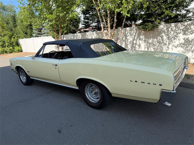 1966 Pontiac LeMans (CC-2092493) for sale in Milford City, Connecticut