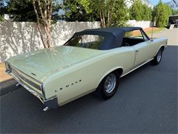 1966 Pontiac LeMans (CC-2092493) for sale in Milford City, Connecticut