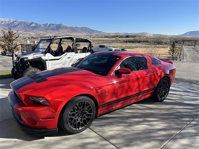 2013 Ford Mustang Shelby GT500 (CC-2090250) for sale in McCammon, Idaho