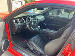 2013 Ford Mustang Shelby GT500 (CC-2090250) for sale in McCammon, Idaho