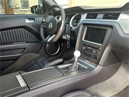 2013 Ford Mustang Shelby GT500 (CC-2090250) for sale in McCammon, Idaho
