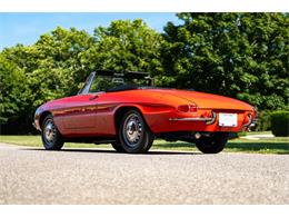 1967 Alfa Romeo Spider (CC-2092748) for sale in Southampton, New York