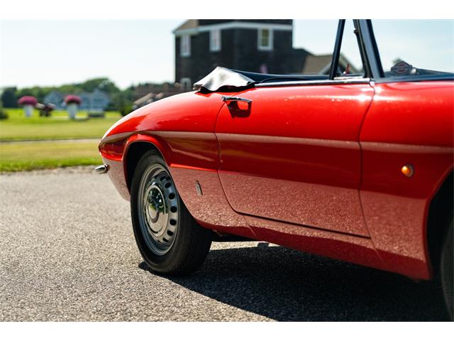 1967 Alfa Romeo Spider (CC-2092748) for sale in Southampton, New York