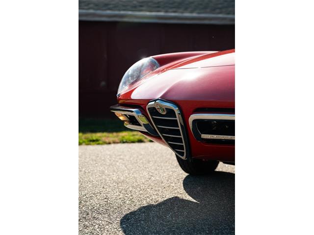 1967 Alfa Romeo Spider (CC-2092748) for sale in Southampton, New York