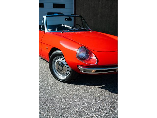 1967 Alfa Romeo Spider (CC-2092748) for sale in Southampton, New York