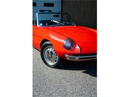 1967 Alfa Romeo Spider (CC-2092748) for sale in Southampton, New York