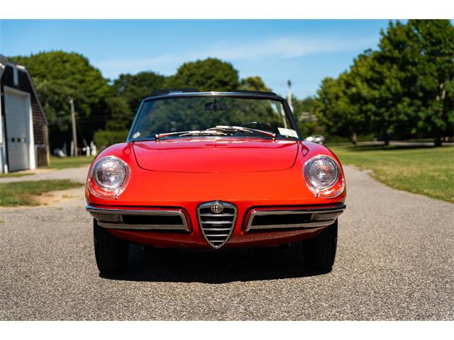 1967 Alfa Romeo Spider (CC-2092748) for sale in Southampton, New York