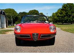 1967 Alfa Romeo Spider (CC-2092748) for sale in Southampton, New York