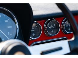 1967 Alfa Romeo Spider (CC-2092748) for sale in Southampton, New York