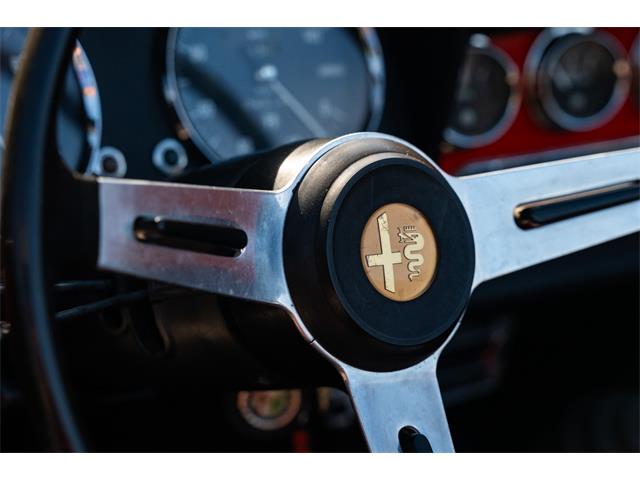 1967 Alfa Romeo Spider (CC-2092748) for sale in Southampton, New York