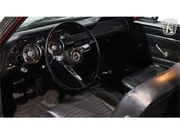 1967 Ford Mustang (CC-2092814) for sale in Peoria, Arizona