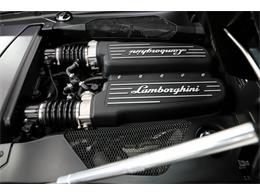 2013 Lamborghini Gallardo (CC-2092821) for sale in Volo, Illinois