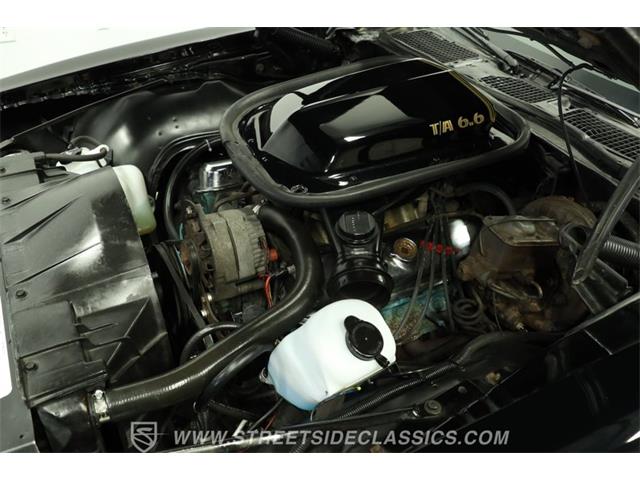 1977 Pontiac Firebird (CC-2092827) for sale in Lutz, Florida