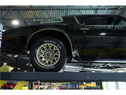 1977 Pontiac Firebird (CC-2092827) for sale in Lutz, Florida