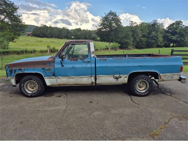 1984 Chevrolet C10 (CC-2092866) for sale in Cadillac, Michigan