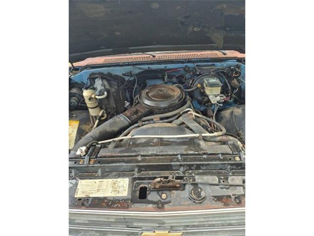 1984 Chevrolet C10 (CC-2092866) for sale in Cadillac, Michigan