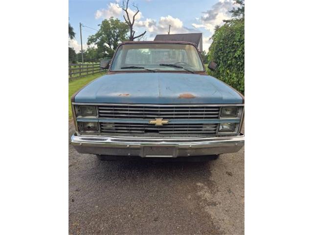1984 Chevrolet C10 (CC-2092866) for sale in Cadillac, Michigan