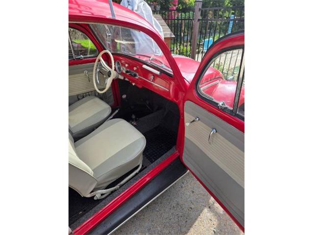 1962 Volkswagen Beetle (CC-2092873) for sale in Cadillac, Michigan