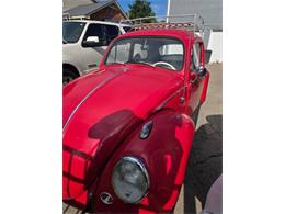 1962 Volkswagen Beetle (CC-2092873) for sale in Cadillac, Michigan