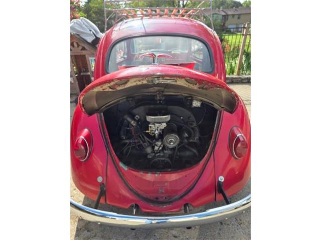 1962 Volkswagen Beetle (CC-2092873) for sale in Cadillac, Michigan