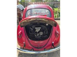 1962 Volkswagen Beetle (CC-2092873) for sale in Cadillac, Michigan