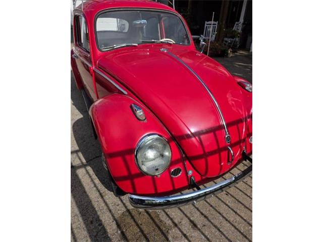 1962 Volkswagen Beetle (CC-2092873) for sale in Cadillac, Michigan
