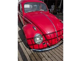 1962 Volkswagen Beetle (CC-2092873) for sale in Cadillac, Michigan