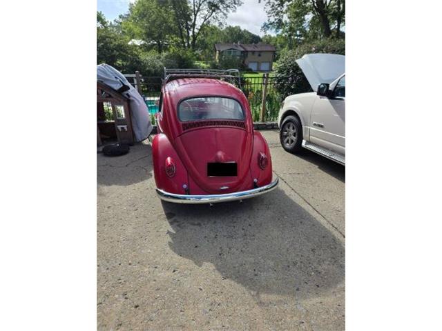 1962 Volkswagen Beetle (CC-2092873) for sale in Cadillac, Michigan