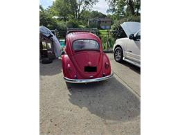 1962 Volkswagen Beetle (CC-2092873) for sale in Cadillac, Michigan