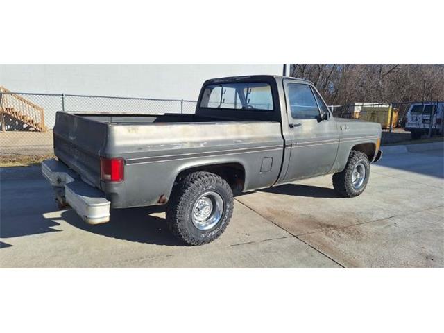 1979 Chevrolet 1500 (CC-2092877) for sale in Cadillac, Michigan