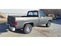 1979 Chevrolet 1500 (CC-2092877) for sale in Cadillac, Michigan