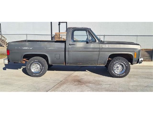 1979 Chevrolet 1500 (CC-2092877) for sale in Cadillac, Michigan
