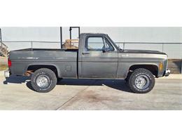 1979 Chevrolet 1500 (CC-2092877) for sale in Cadillac, Michigan