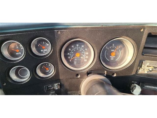 1979 Chevrolet 1500 (CC-2092877) for sale in Cadillac, Michigan