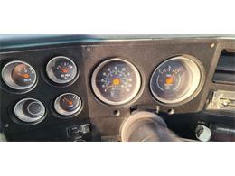 1979 Chevrolet 1500 (CC-2092877) for sale in Cadillac, Michigan