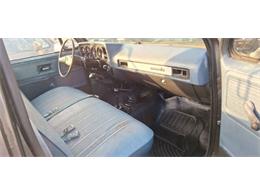 1979 Chevrolet 1500 (CC-2092877) for sale in Cadillac, Michigan