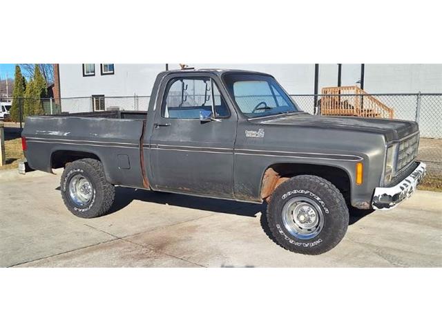 1979 Chevrolet 1500 (CC-2092877) for sale in Cadillac, Michigan
