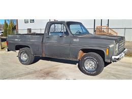 1979 Chevrolet 1500 (CC-2092877) for sale in Cadillac, Michigan