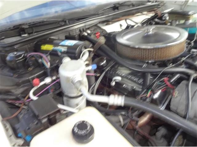 1986 Chevrolet Custom (CC-2092955) for sale in Sarasota, Florida
