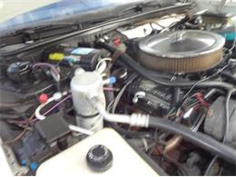 1986 Chevrolet Custom (CC-2092955) for sale in Sarasota, Florida