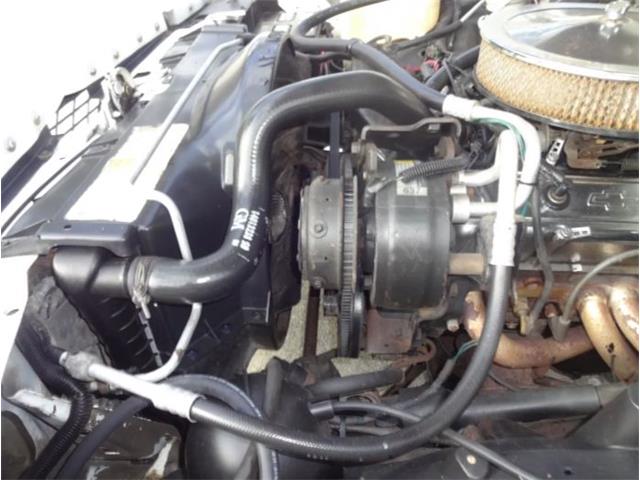 1986 Chevrolet Custom (CC-2092955) for sale in Sarasota, Florida