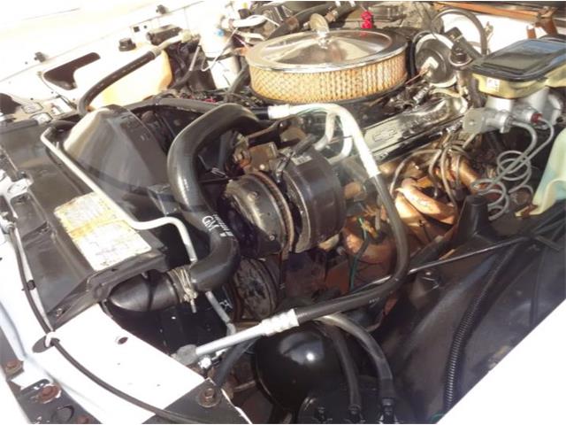 1986 Chevrolet Custom (CC-2092955) for sale in Sarasota, Florida