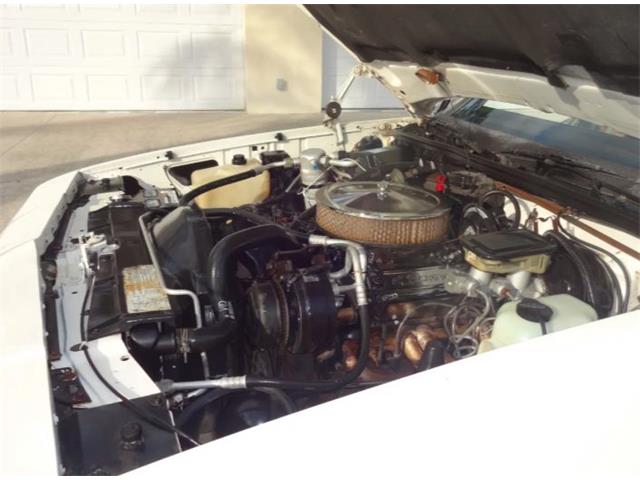 1986 Chevrolet Custom (CC-2092955) for sale in Sarasota, Florida