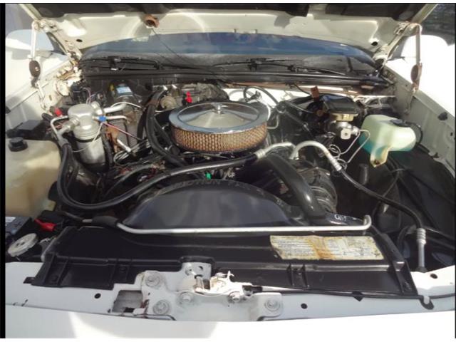 1986 Chevrolet Custom (CC-2092955) for sale in Sarasota, Florida