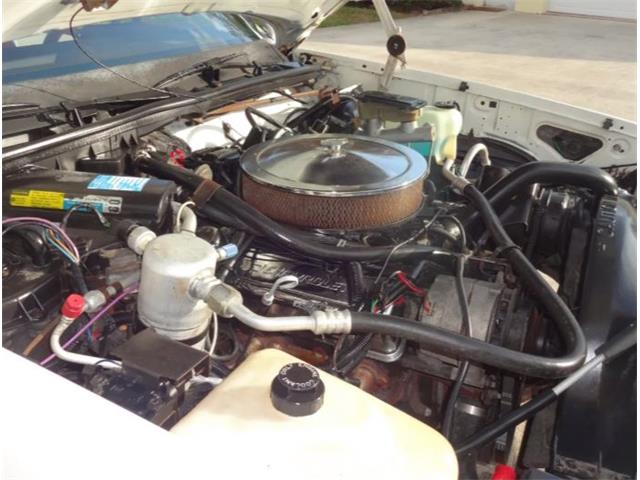 1986 Chevrolet Custom (CC-2092955) for sale in Sarasota, Florida