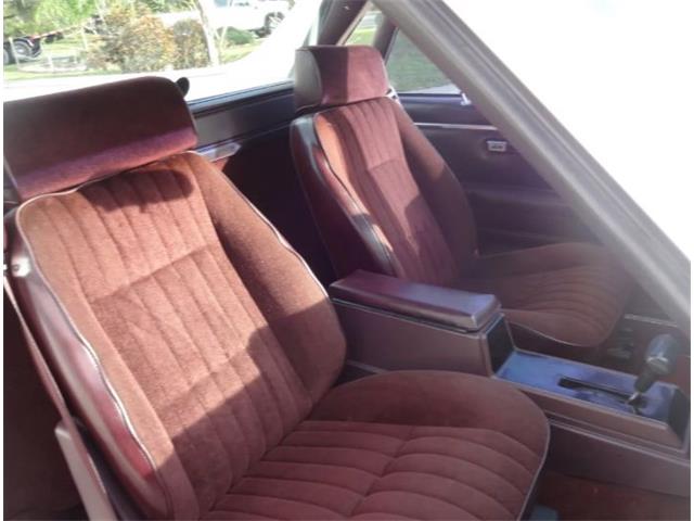 1986 Chevrolet Custom (CC-2092955) for sale in Sarasota, Florida