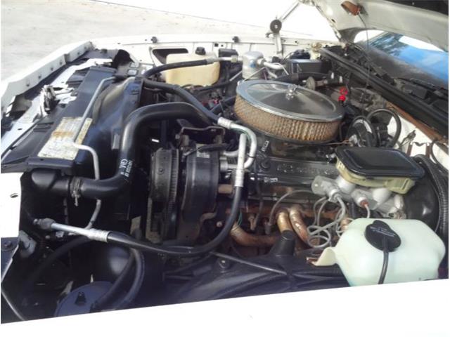 1986 Chevrolet Custom (CC-2092955) for sale in Sarasota, Florida