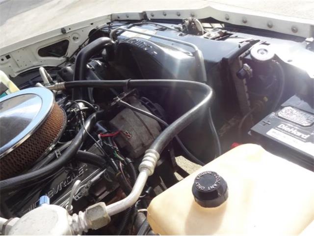 1986 Chevrolet Custom (CC-2092955) for sale in Sarasota, Florida